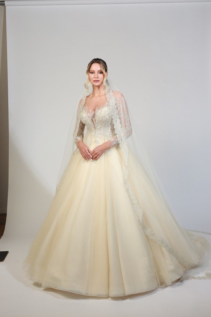 Vestido de novia de corte princesa con cuerpo de pedrería y mangas capa transparentes bordadas — Oksana Dorenska