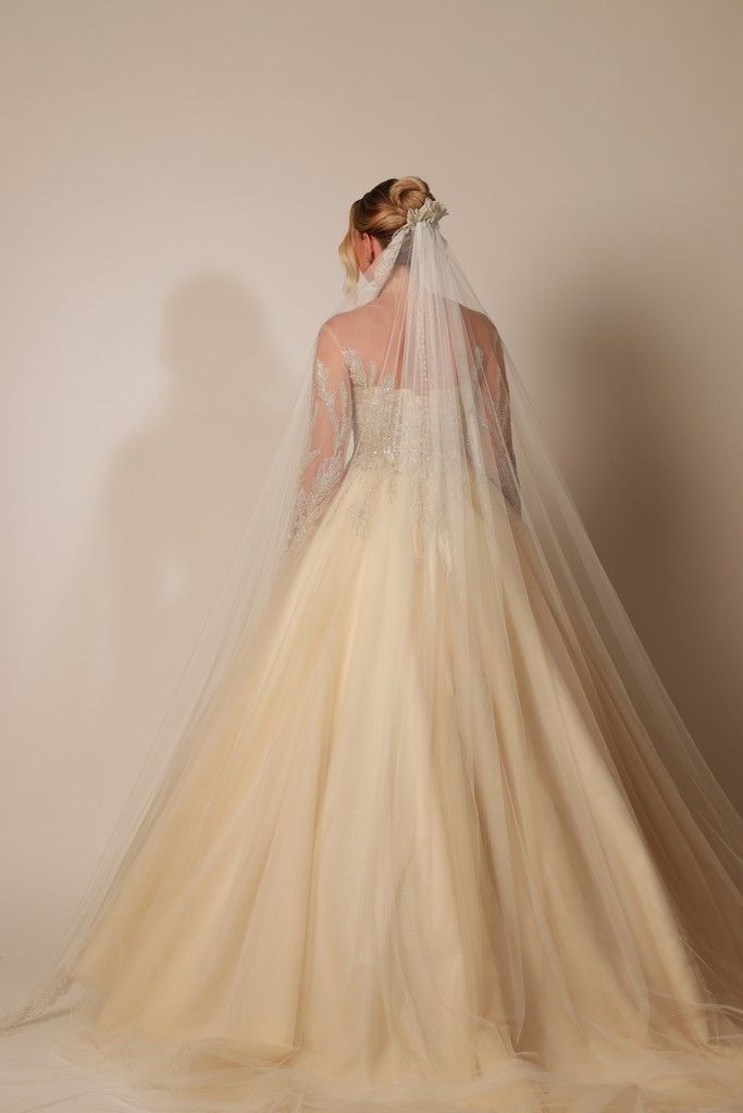Vestido de novia de corte princesa con cuerpo de pedrería y mangas capa transparentes bordadas — Oksana Dorenska